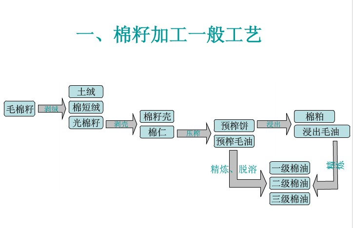 常見(jiàn)的幾種油料作物使用螺旋榨油機(jī)壓榨的工藝(上)