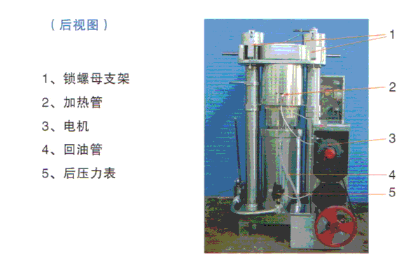 芝麻榨油機(jī)后視圖.png