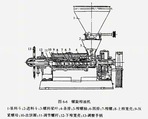 榨油機(jī)廠家教您如何解決榨油機(jī)不進(jìn)料的現(xiàn)象？