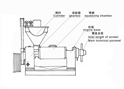 雙象榨油機產(chǎn)品介紹6YL-68螺旋榨油機